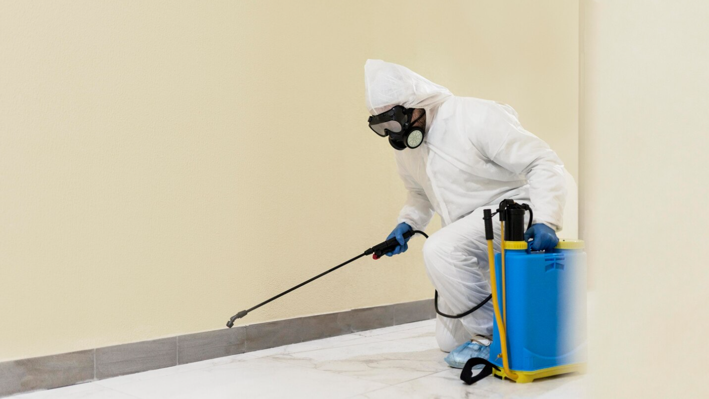 Termite Inspection